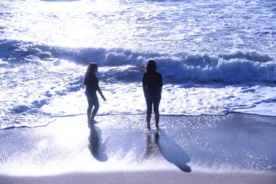 DSC_0515 (Large).JPG